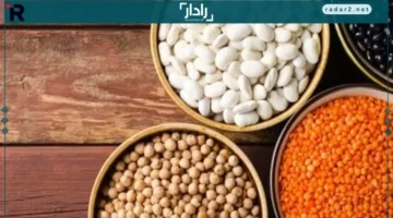 أسعار الفول البلدي والبقوليات في كفر الشيخ الأربعاء 12 نوفمبر 2025